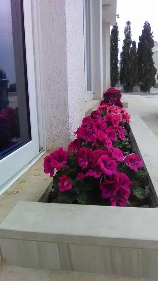 Aler Holiday Inn ซารานเดอ ภายนอก รูปภาพ